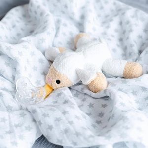 Pacifier attached to stuffed animal (lamb).